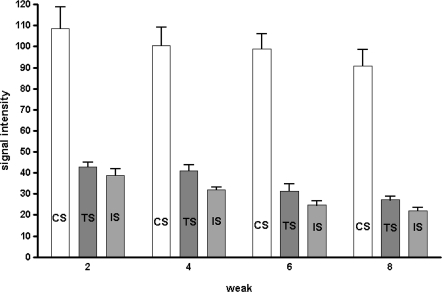 Fig. 3