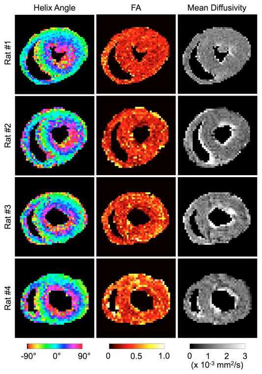 Fig. 8