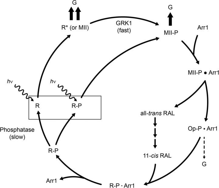 Figure 9.