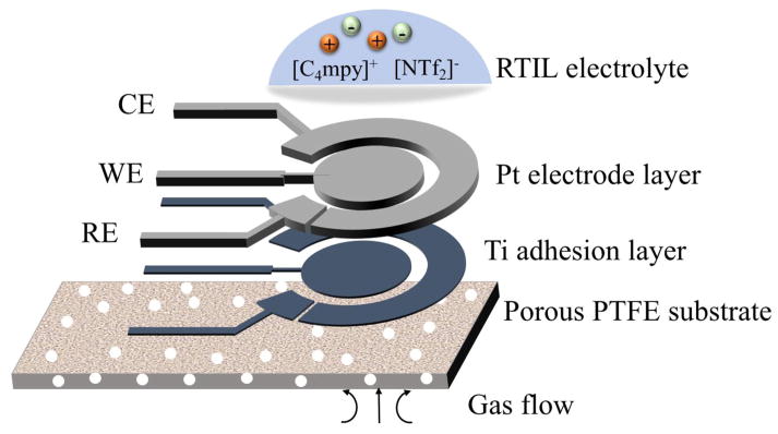 Fig. 2