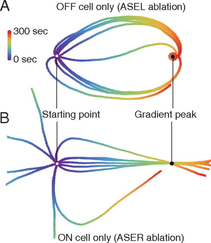 Figure 11.