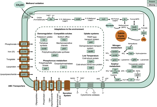 Figure 5