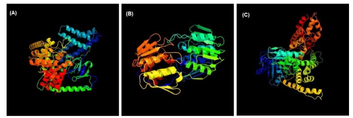 Fig. 3