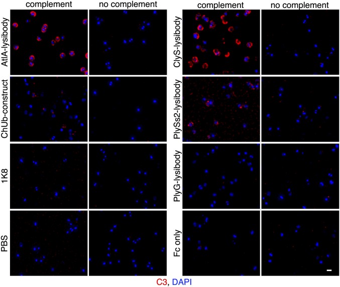 Fig. 3.