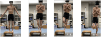 Fig 4