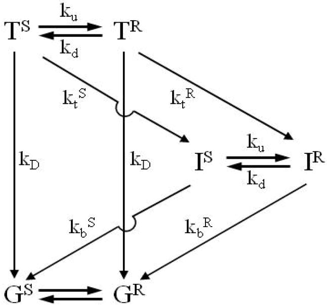 Scheme 2