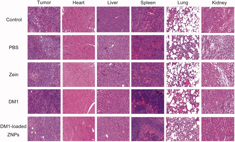 Figure 6.