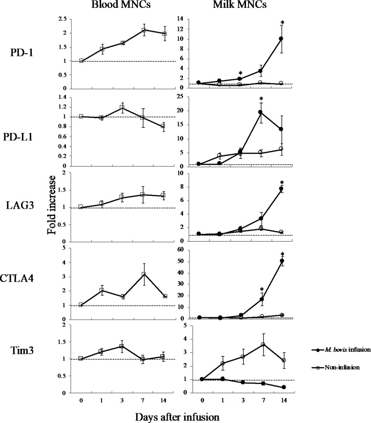 FIG 5