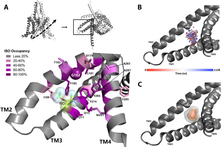 Figure 5.