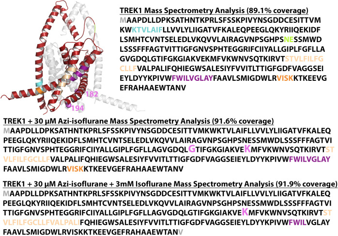 Figure 2—figure supplement 2.