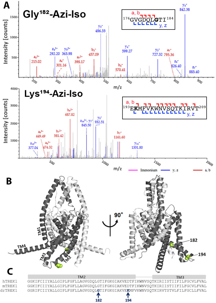 Figure 2.