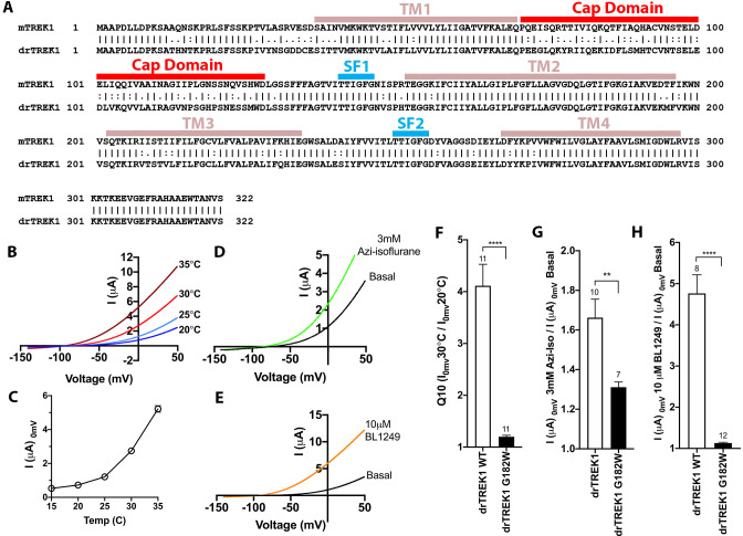 Figure 3—figure supplement 1.