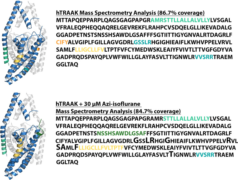 Figure 7—figure supplement 1.