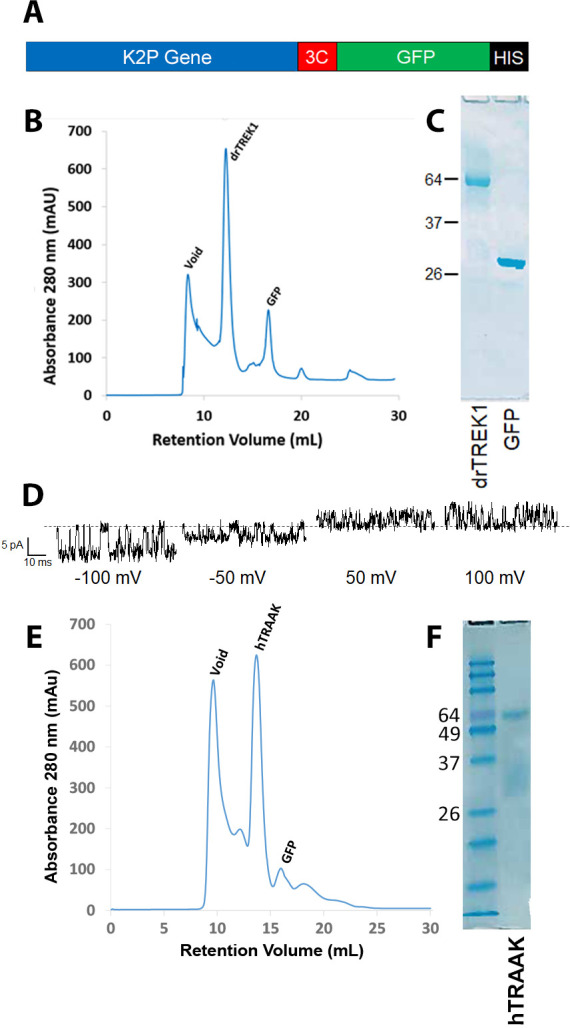 Figure 2—figure supplement 1.