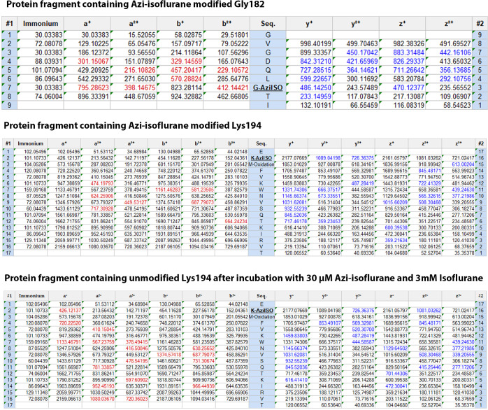 Figure 2—figure supplement 3.