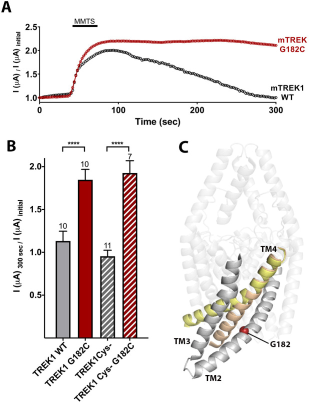 Figure 4.