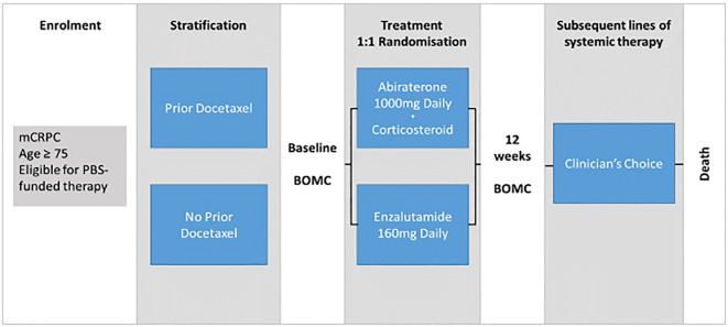 Figure 1