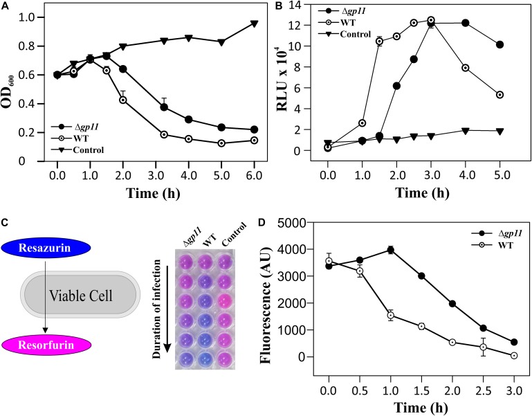 FIGURE 3