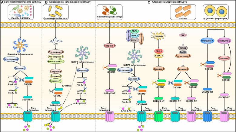 Figure 2