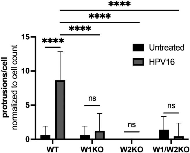 Fig 8.