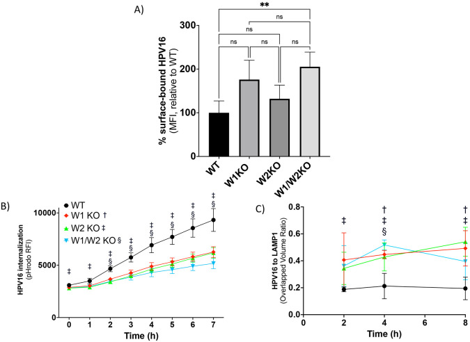 Fig 4.