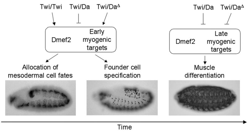 Fig. 9
