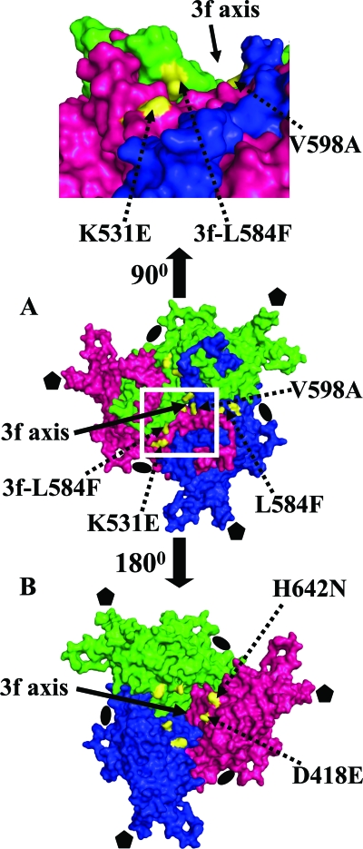 FIG. 4.