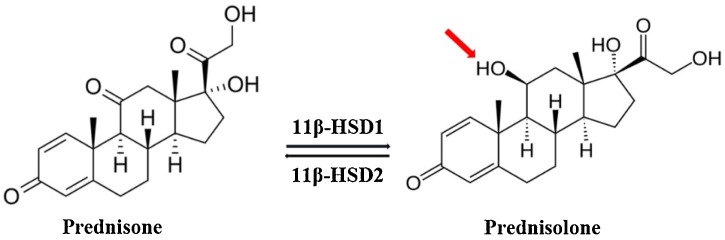 Fig. 8