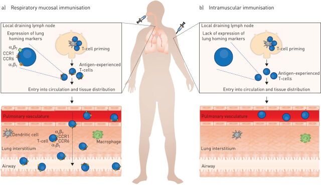 FIGURE 1