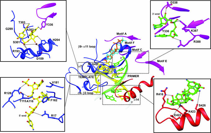 Fig. 2.