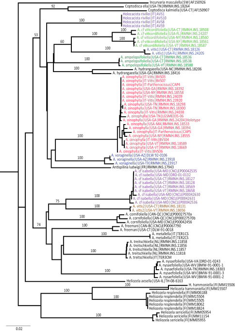 Figure 30.