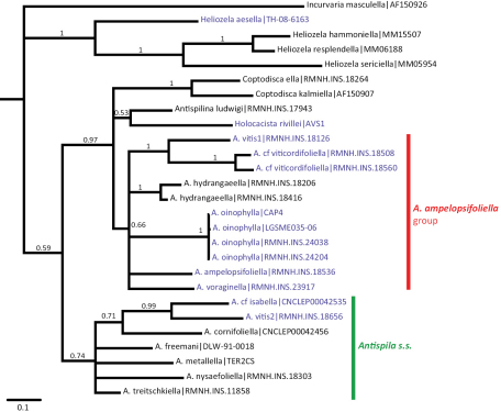 Figure 32.