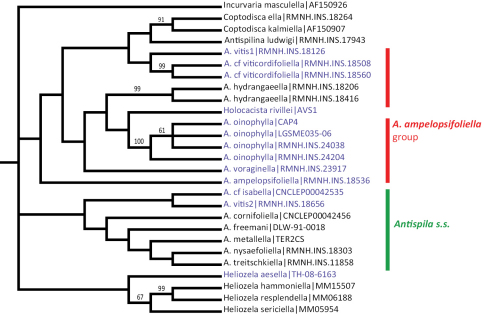 Figure 31.