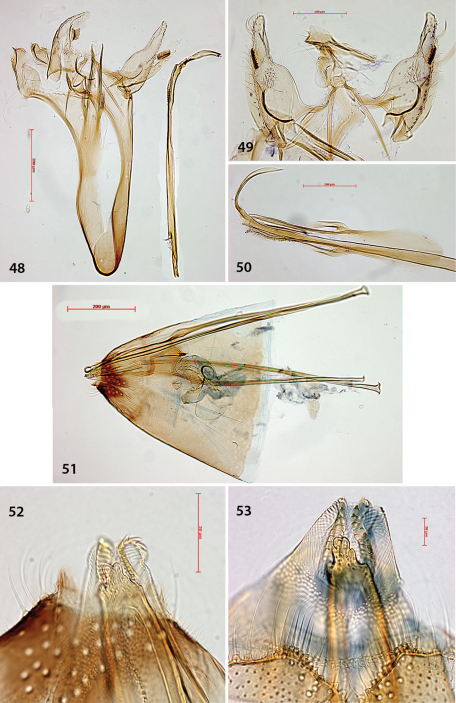 Figures 48–53.