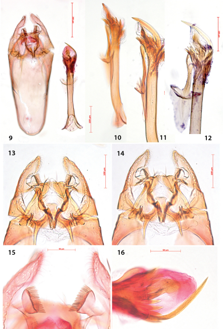 Figures 9–16.