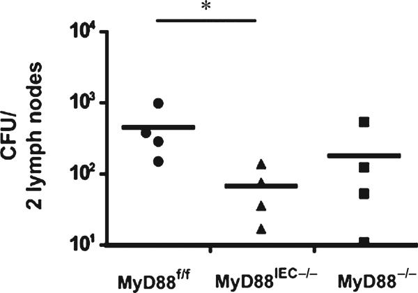 FIGURE 3