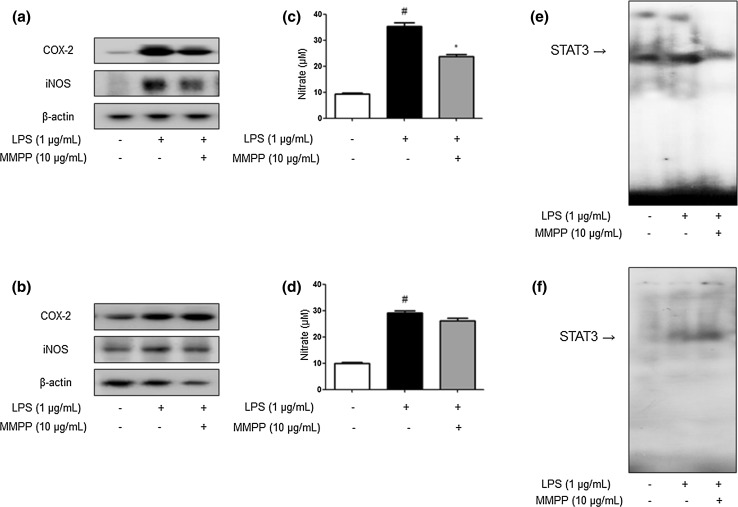 Fig. 7