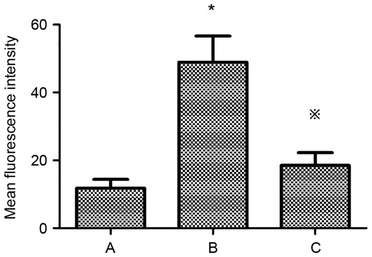 Figure 10.