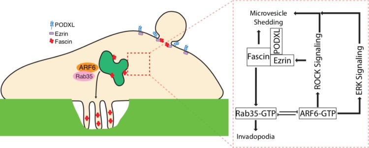 FIG 8