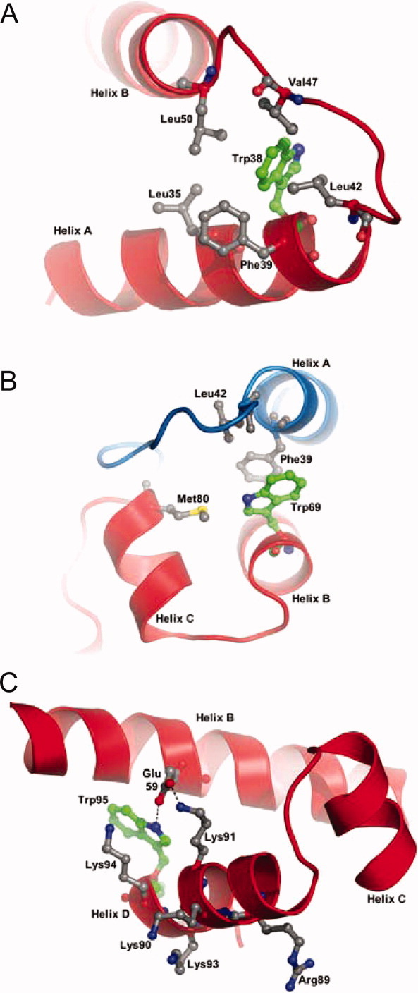 Figure. 3