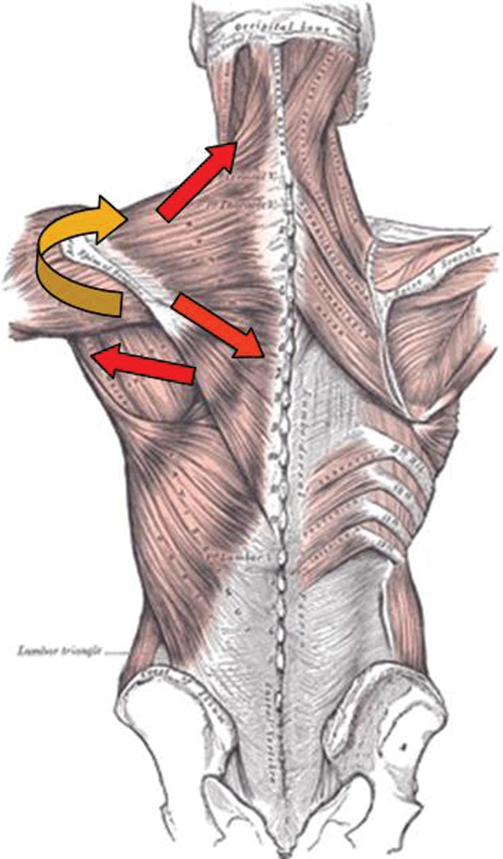 Figure 3.