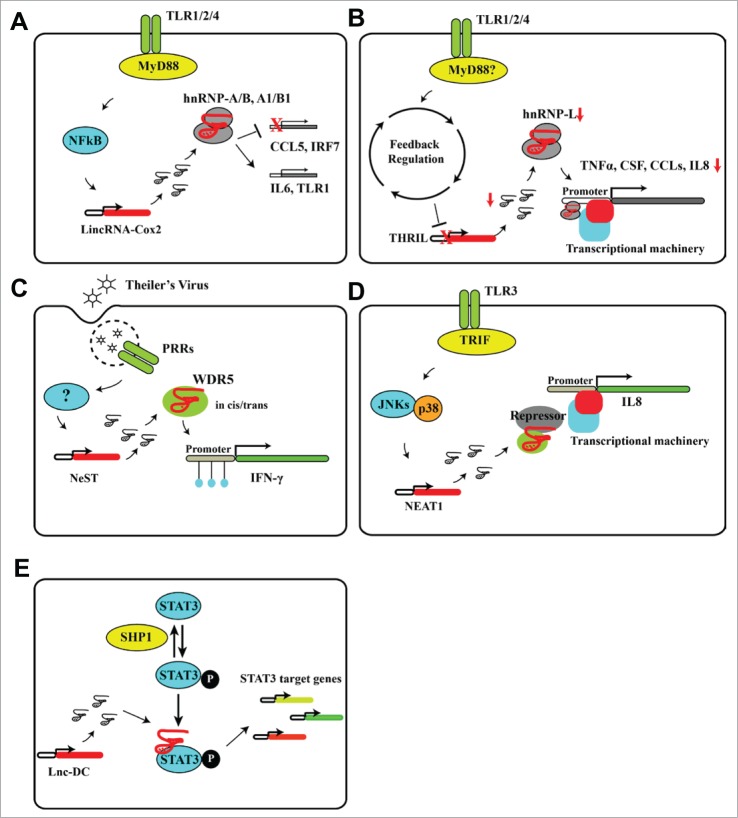 Figure 2.