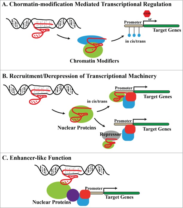 Figure 1.