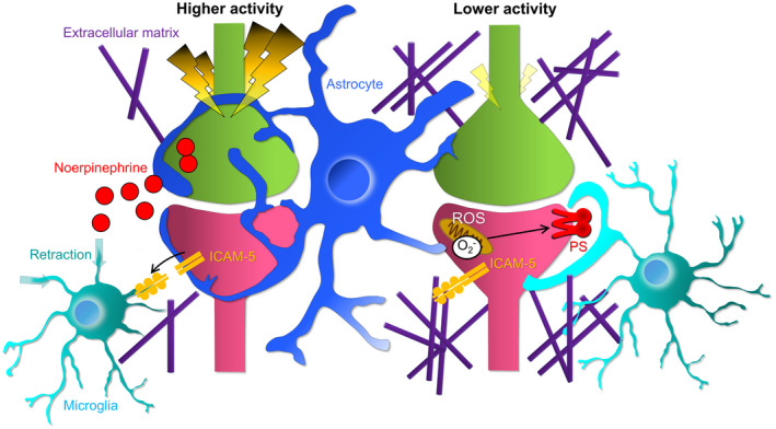 FIGURE 4