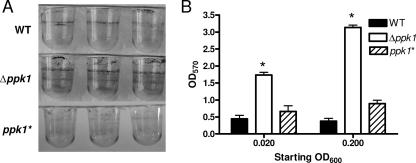 FIG. 5.