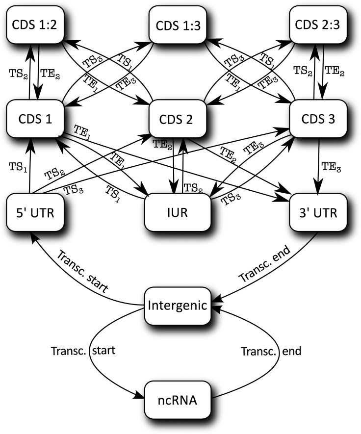 Figure 2.