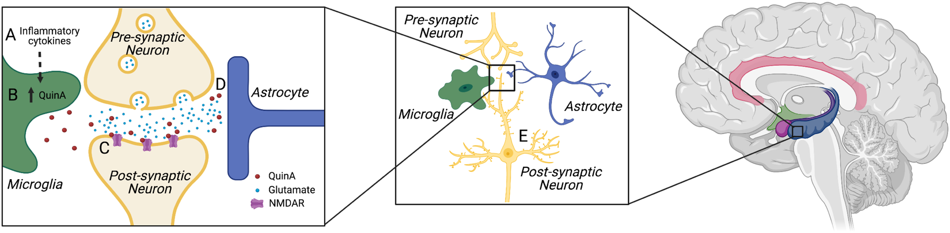 Figure 2.