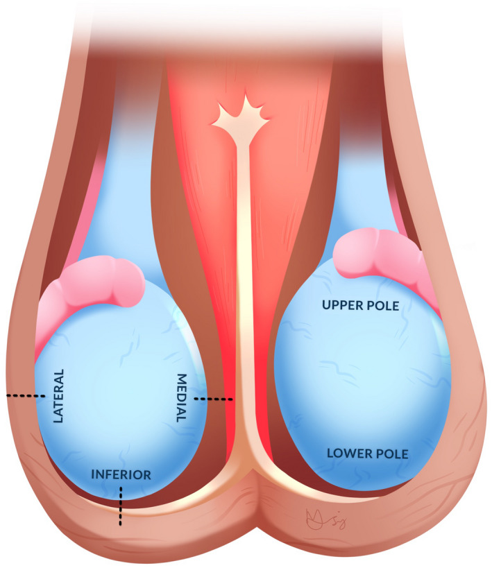 Fig. 5