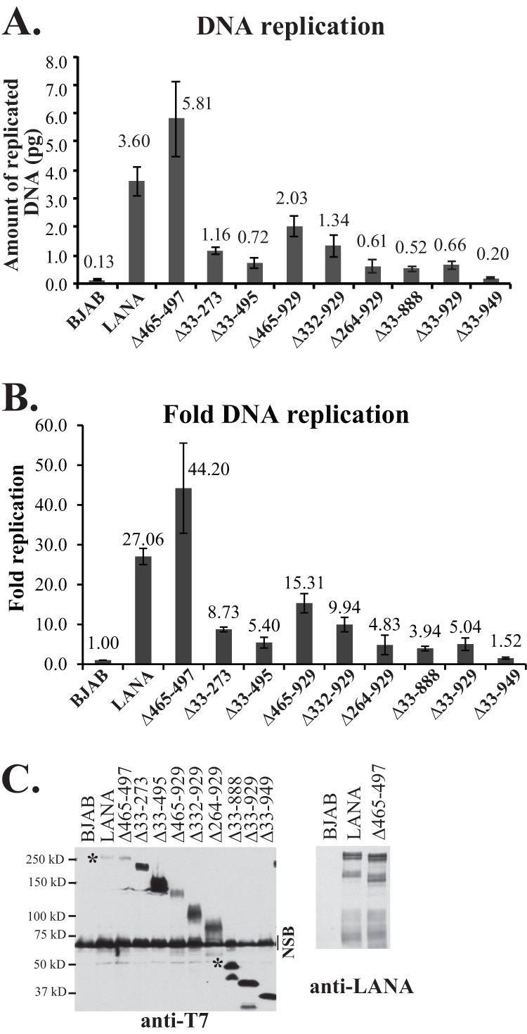 Fig 5