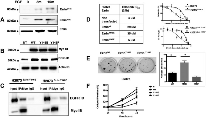 Figure 6